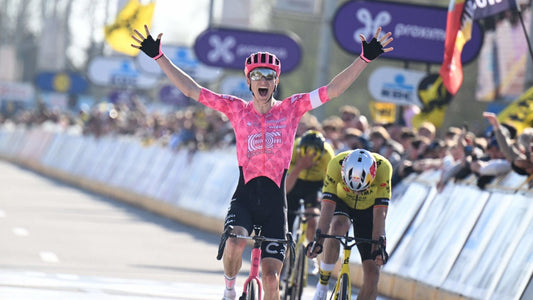 Wout Happened? - Dwars door Vlaanderen Reaction.